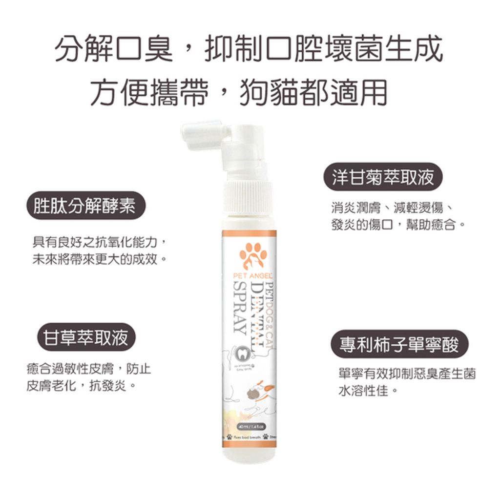 tw-11134207-23010-w8k5fqzou0lvea