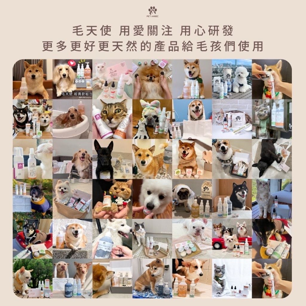 tw-11134207-23010-4jwsgetju0lv7b