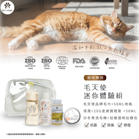 251215毛天使迷你體驗組-02