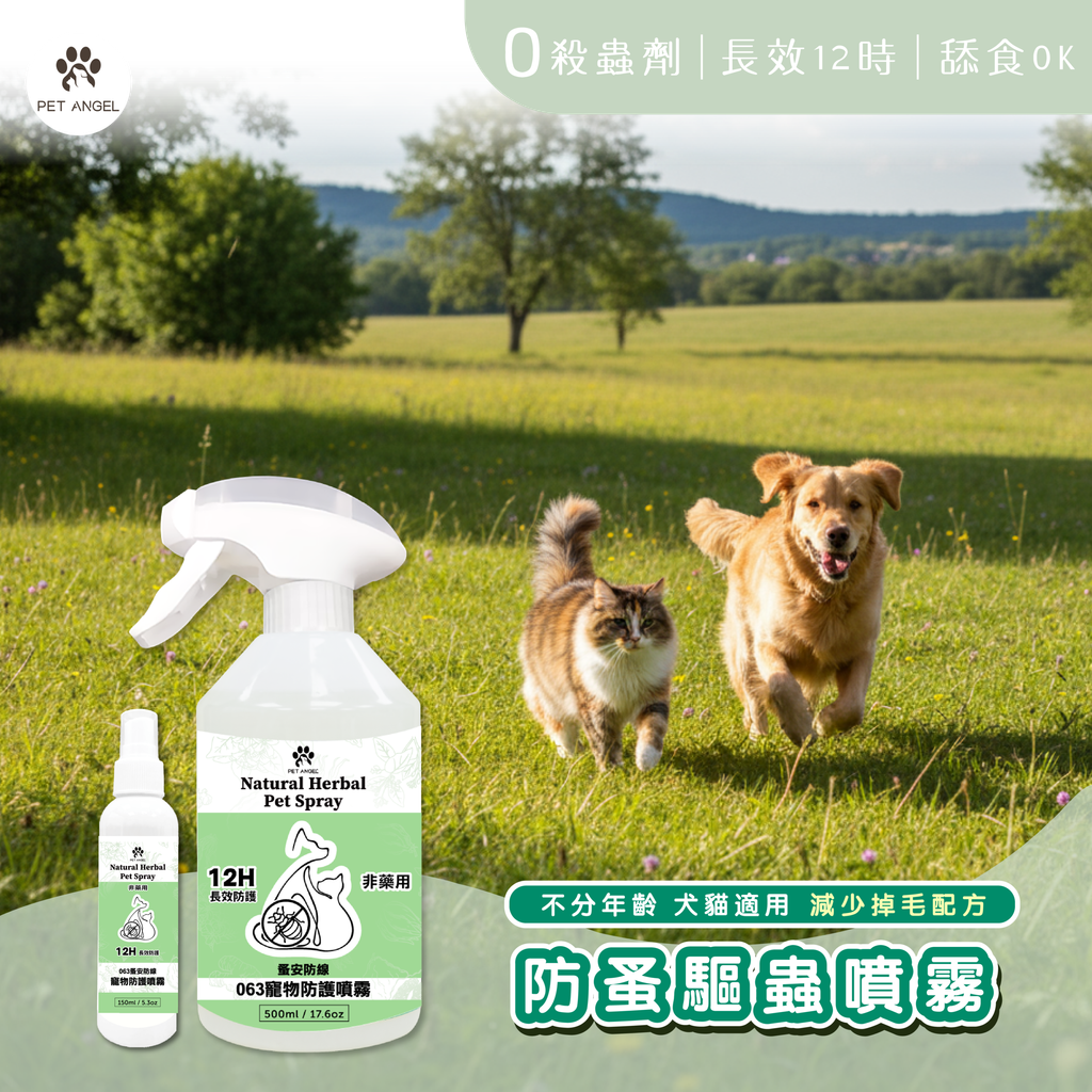 251110蚤安_工作區域 1