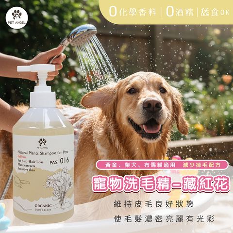 251106洗毛精藏紅花_工作區域 1