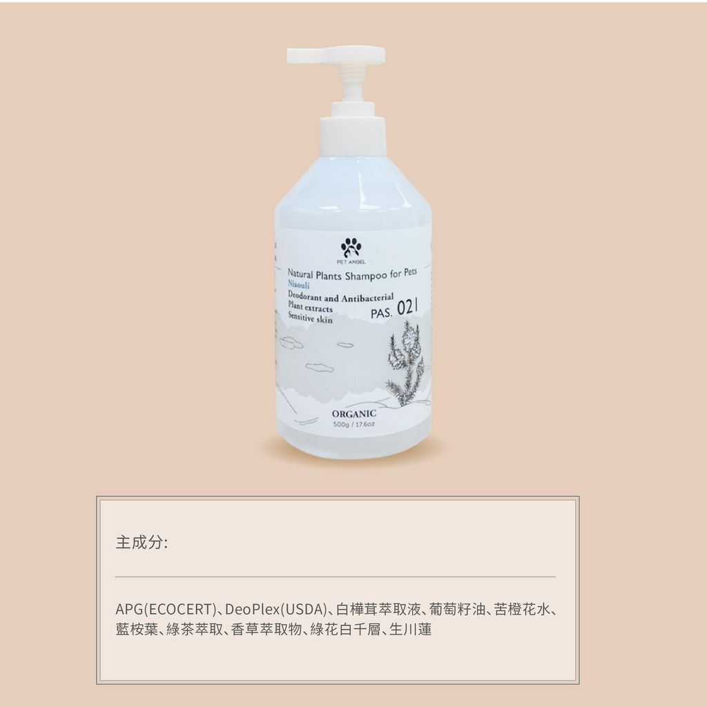 綠花白千層jpg-03