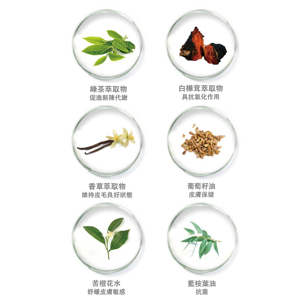 綠花白千層jpg-02