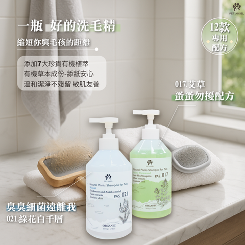 611洗毛精_工作區域 1