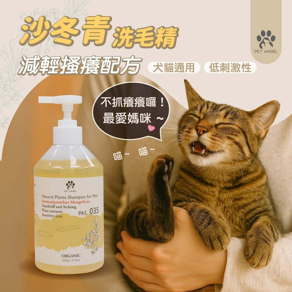 SaveClip.App_539461079_754168940662290_7584070863889286213_n