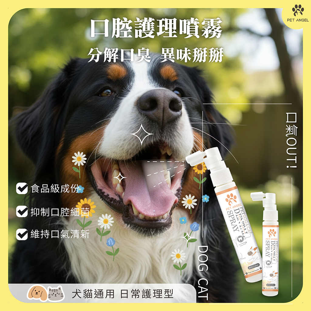 260110口腔噴劑_工作區域 1