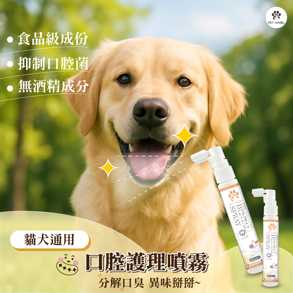 0607口腔_工作區域 1