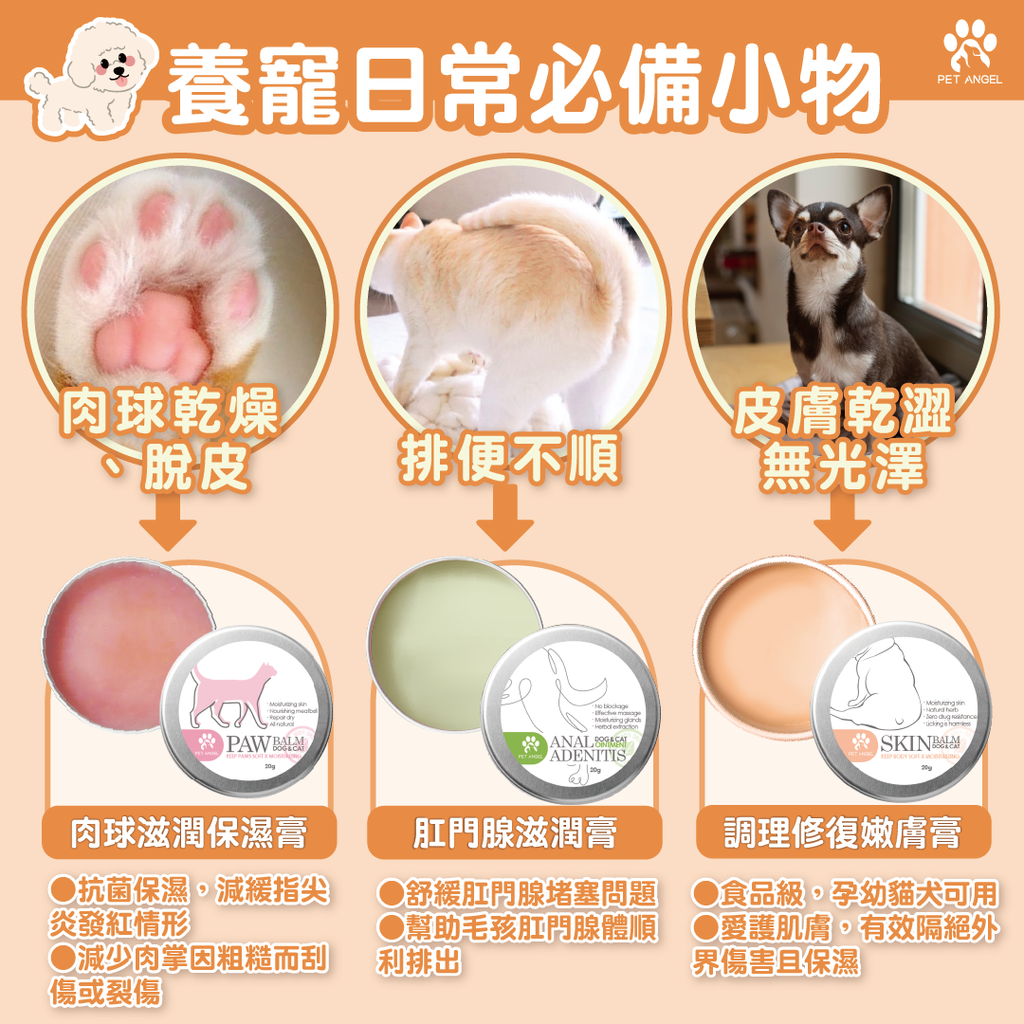 養寵日常必備小物_工作區域 1(1)