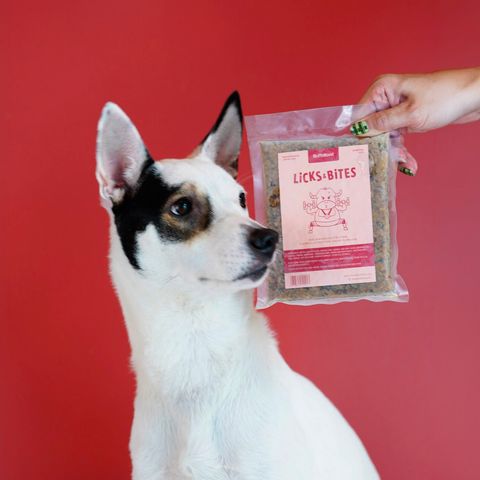trial pack dogs_1