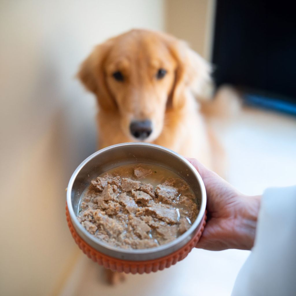 licksandbites_broth 4
