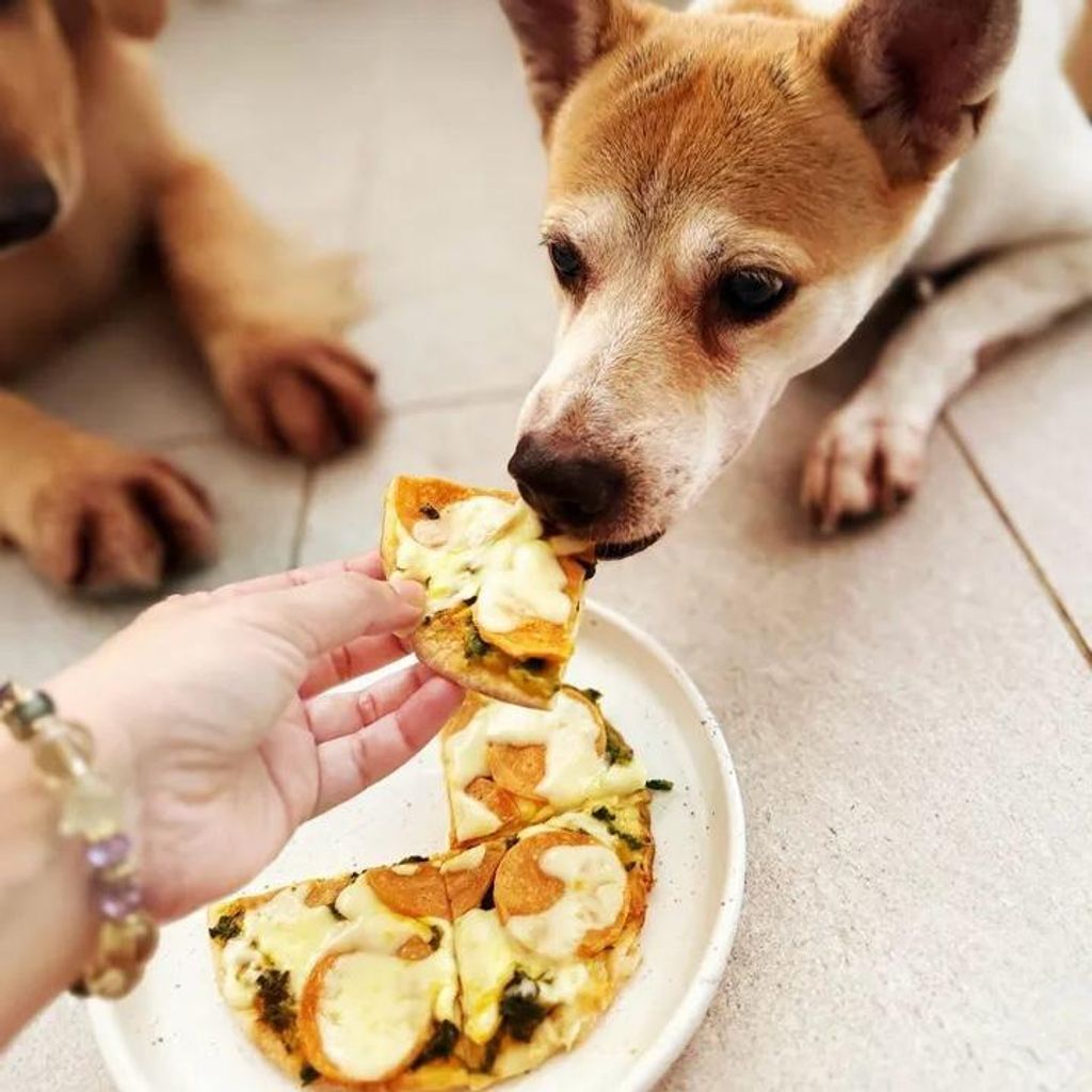 licksandbites_pizza4