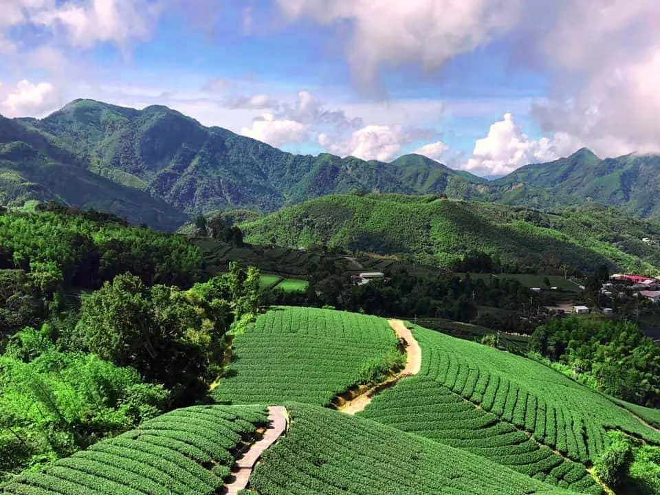 6ef1d3f2-5d29-4c7e-a44f-cde64f180954