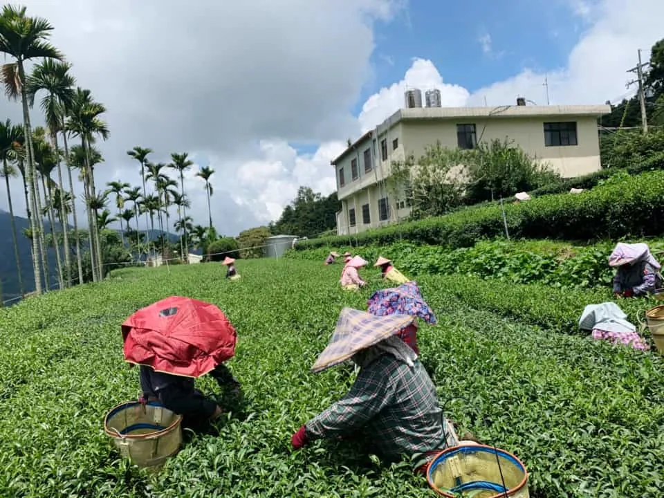 9a992acc-af0e-4d4f-b5b6-04cce47e0cbc