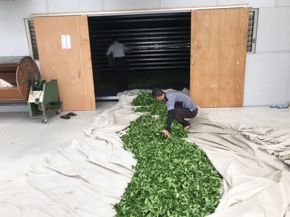 1ec69ccd-f998-426e-81ea-9d960261b808