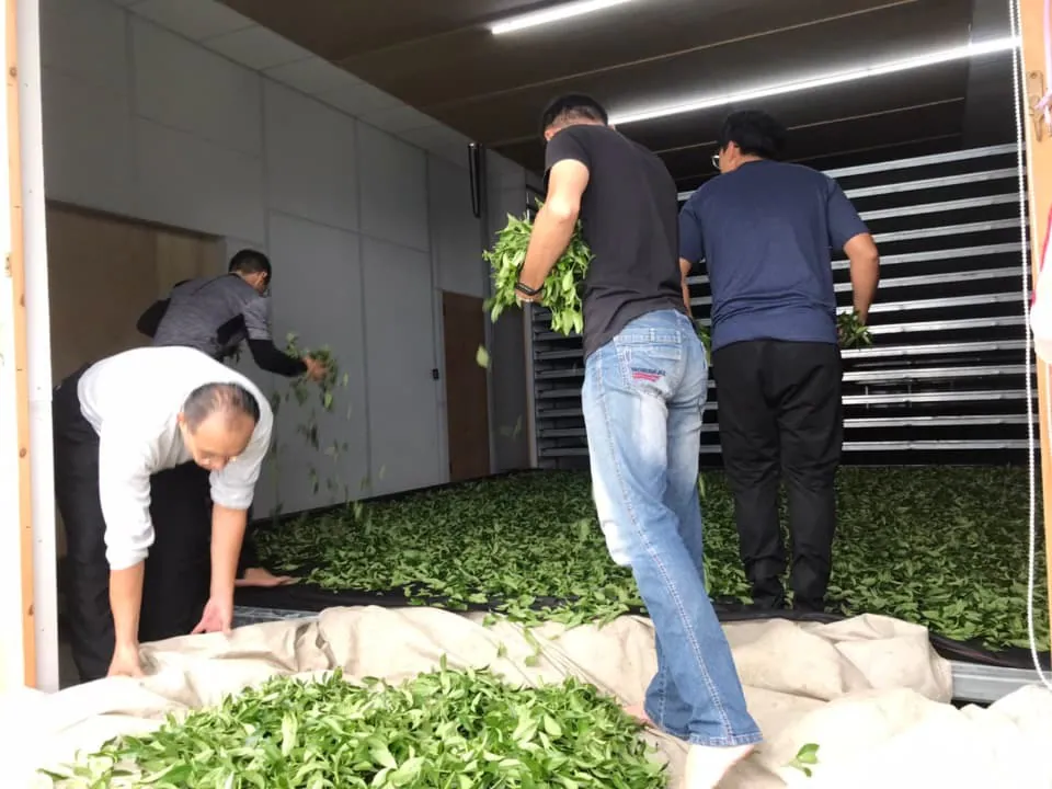 91c26e9e-4858-4c26-af8b-42a2806c2332