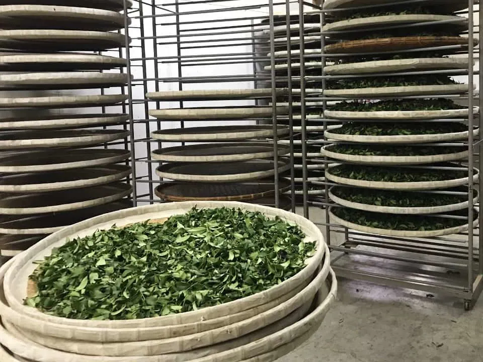 1e0739e1-bb69-4863-b267-c4cf94899da6