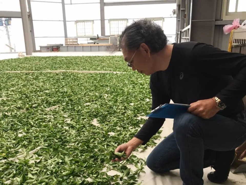 7c81fd0e-84ac-45fa-b3be-42139151ff8a_結果