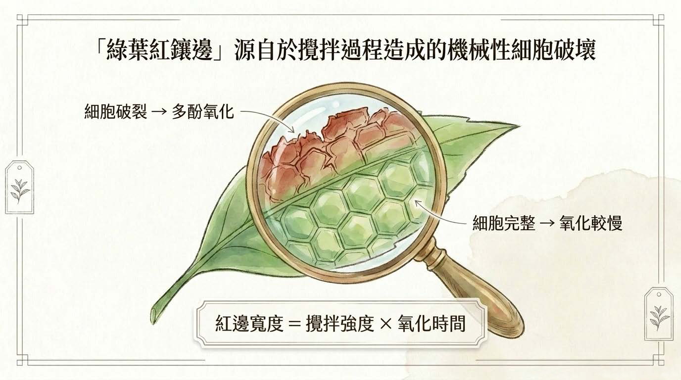 Decoding_Oolong_Color_頁面_06