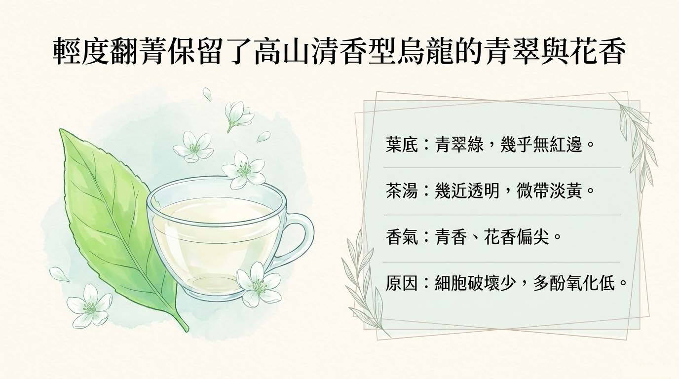 Decoding_Oolong_Color_頁面_07
