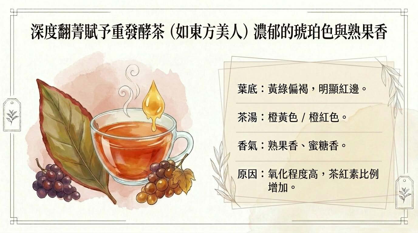 Decoding_Oolong_Color_頁面_09