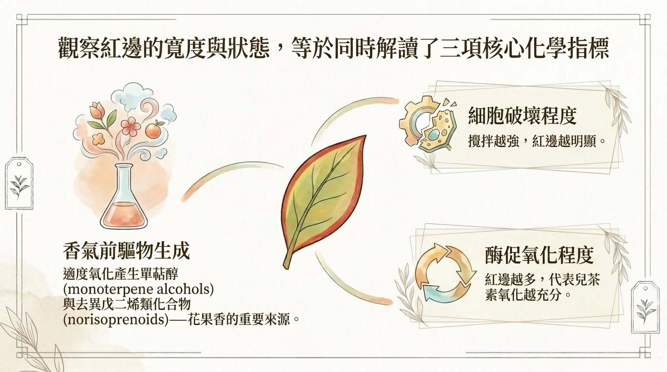 Decoding_Oolong_Color_頁面_11