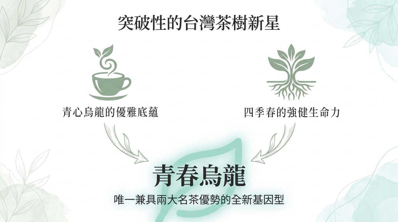 Youth_Oolong_Decoded_頁面_02