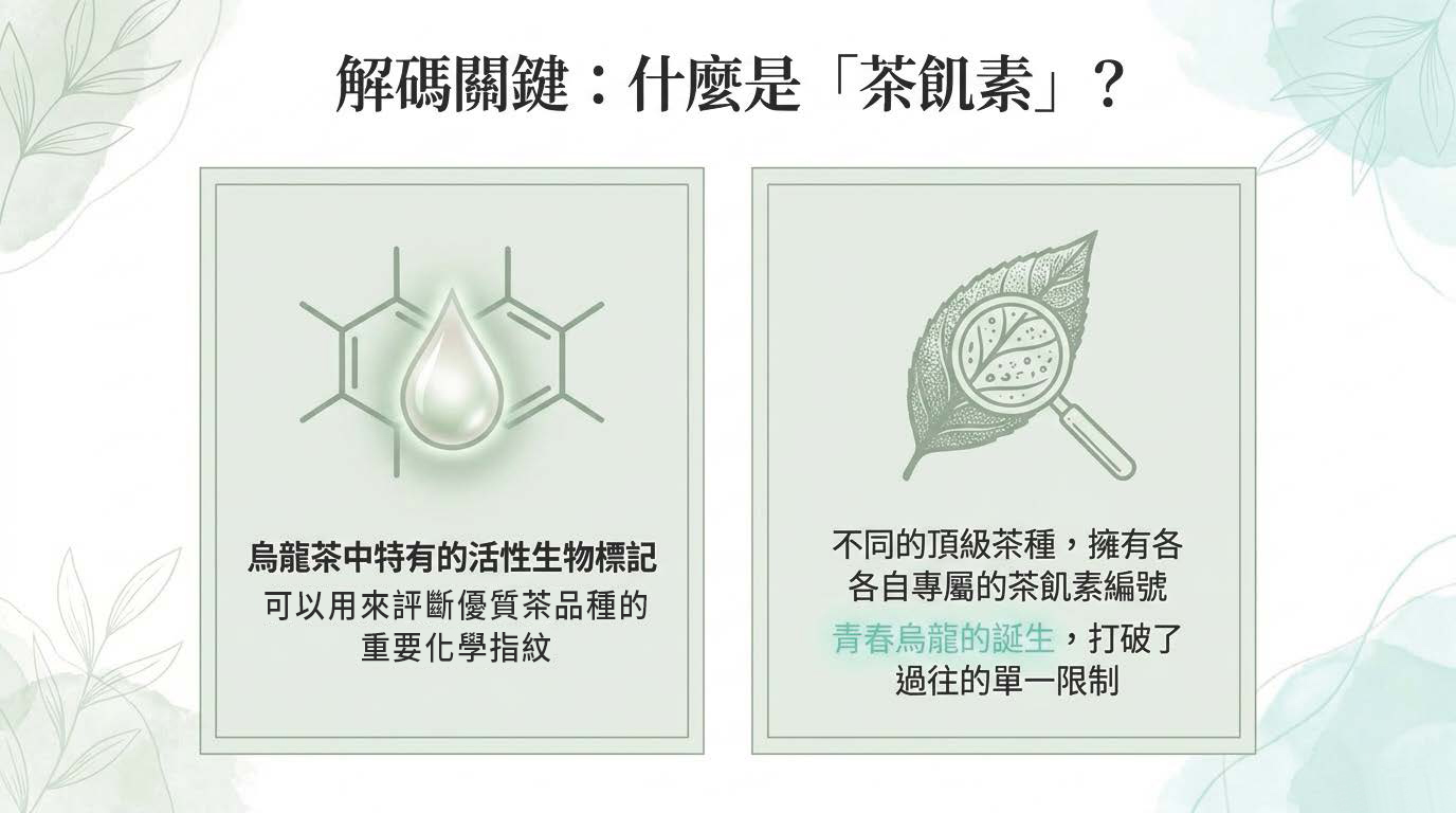 Youth_Oolong_Decoded_頁面_03