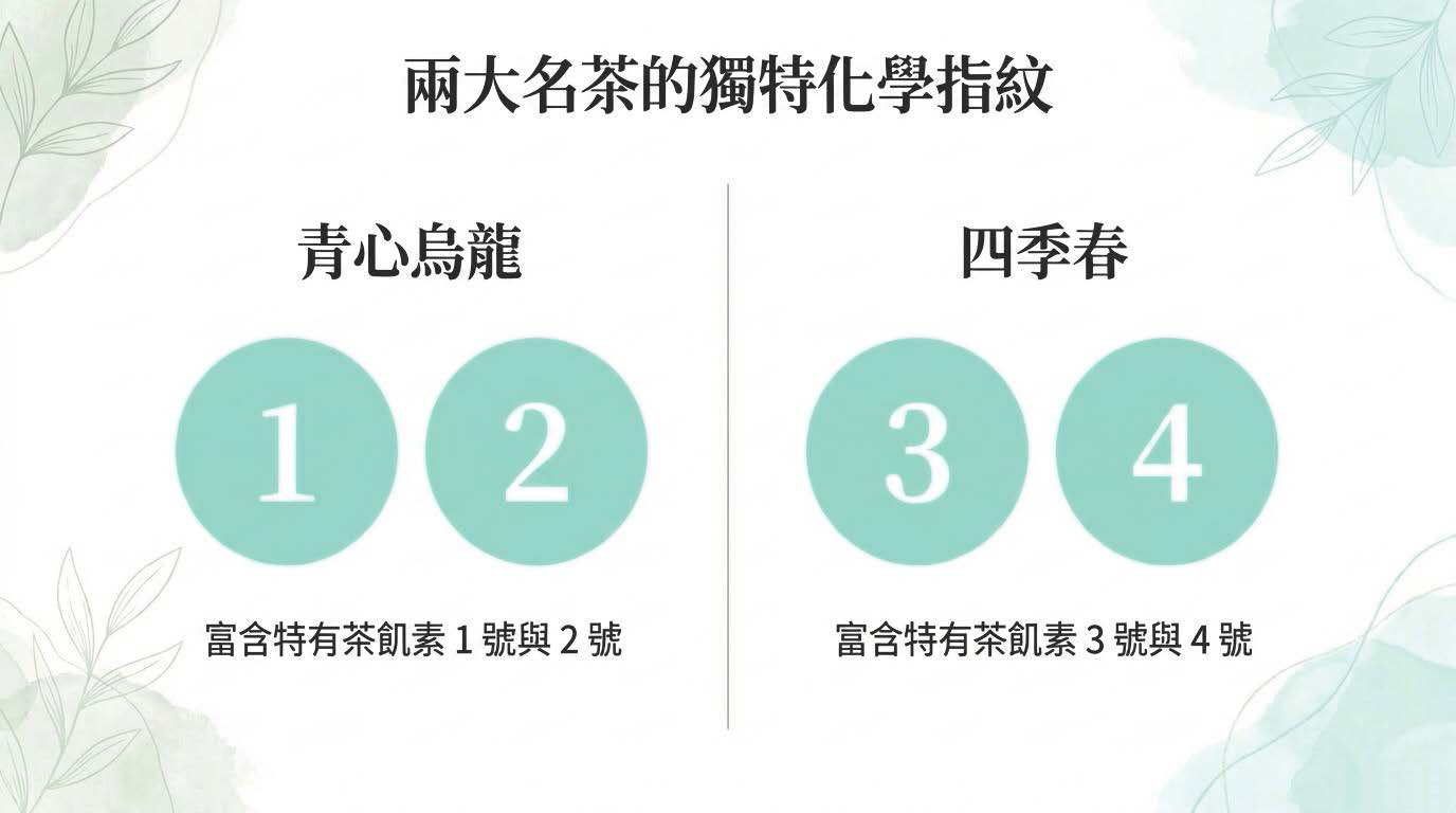 Youth_Oolong_Decoded_頁面_04