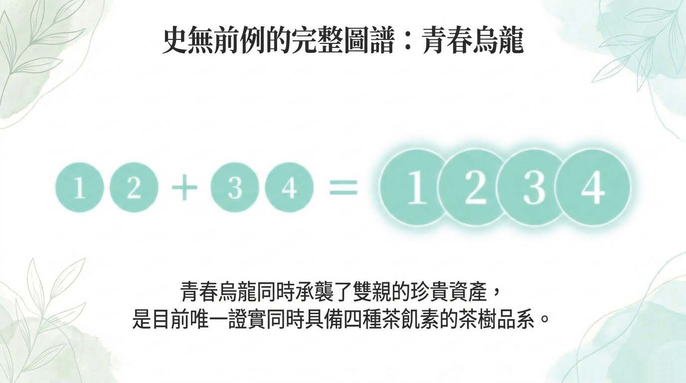 Youth_Oolong_Decoded_頁面_05