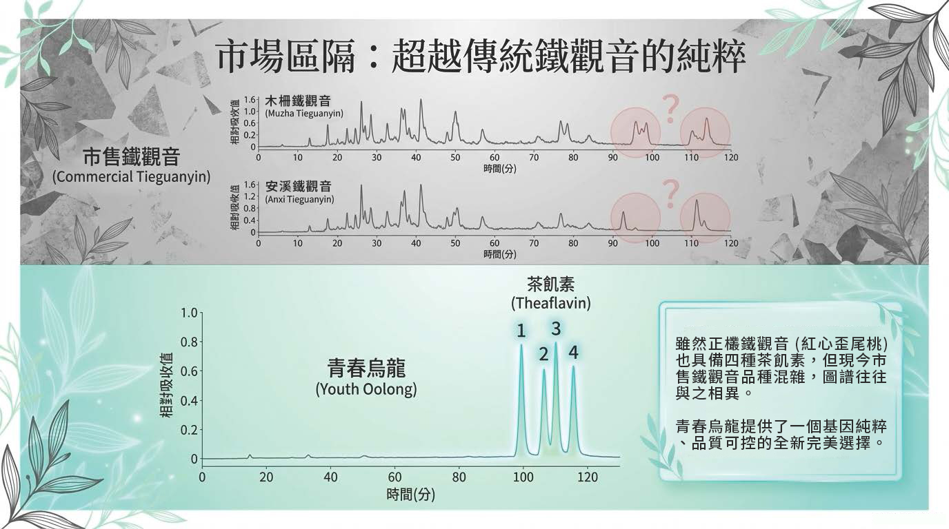 Youth_Oolong_Decoded_頁面_10