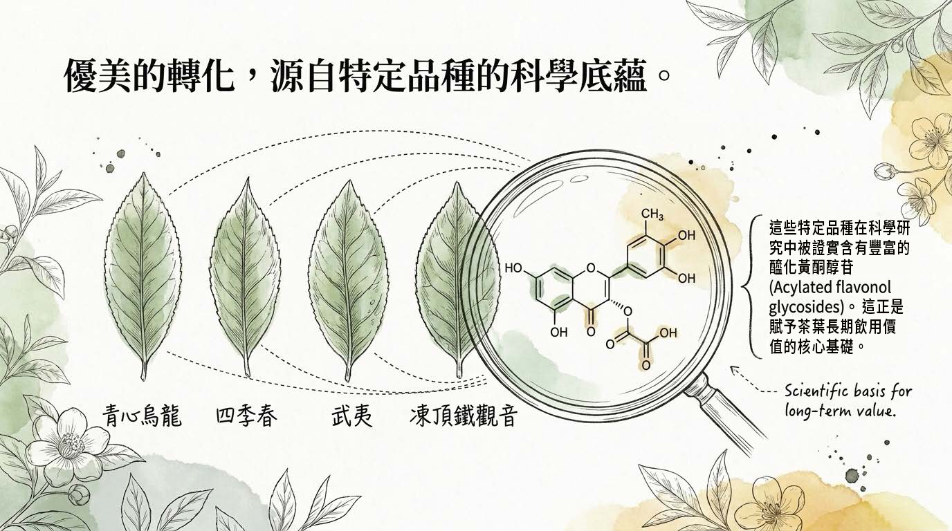 Zeng_Oolong_Botanical_Journal_頁面_07