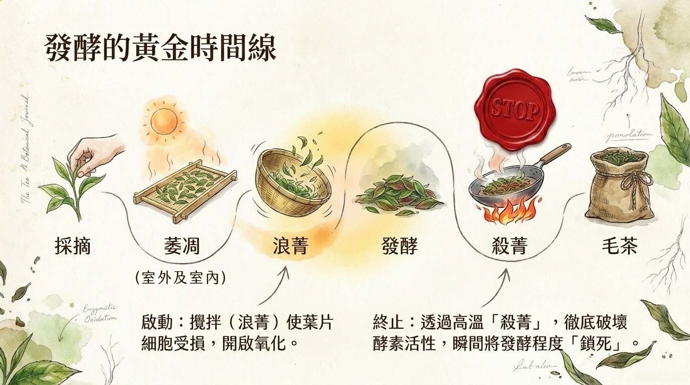 Taiwanese_Tea_Decoded_頁面_04