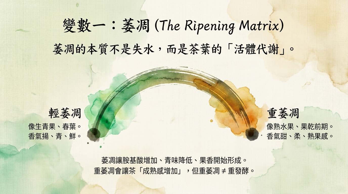 Oolong_Deconstructed_頁面_07