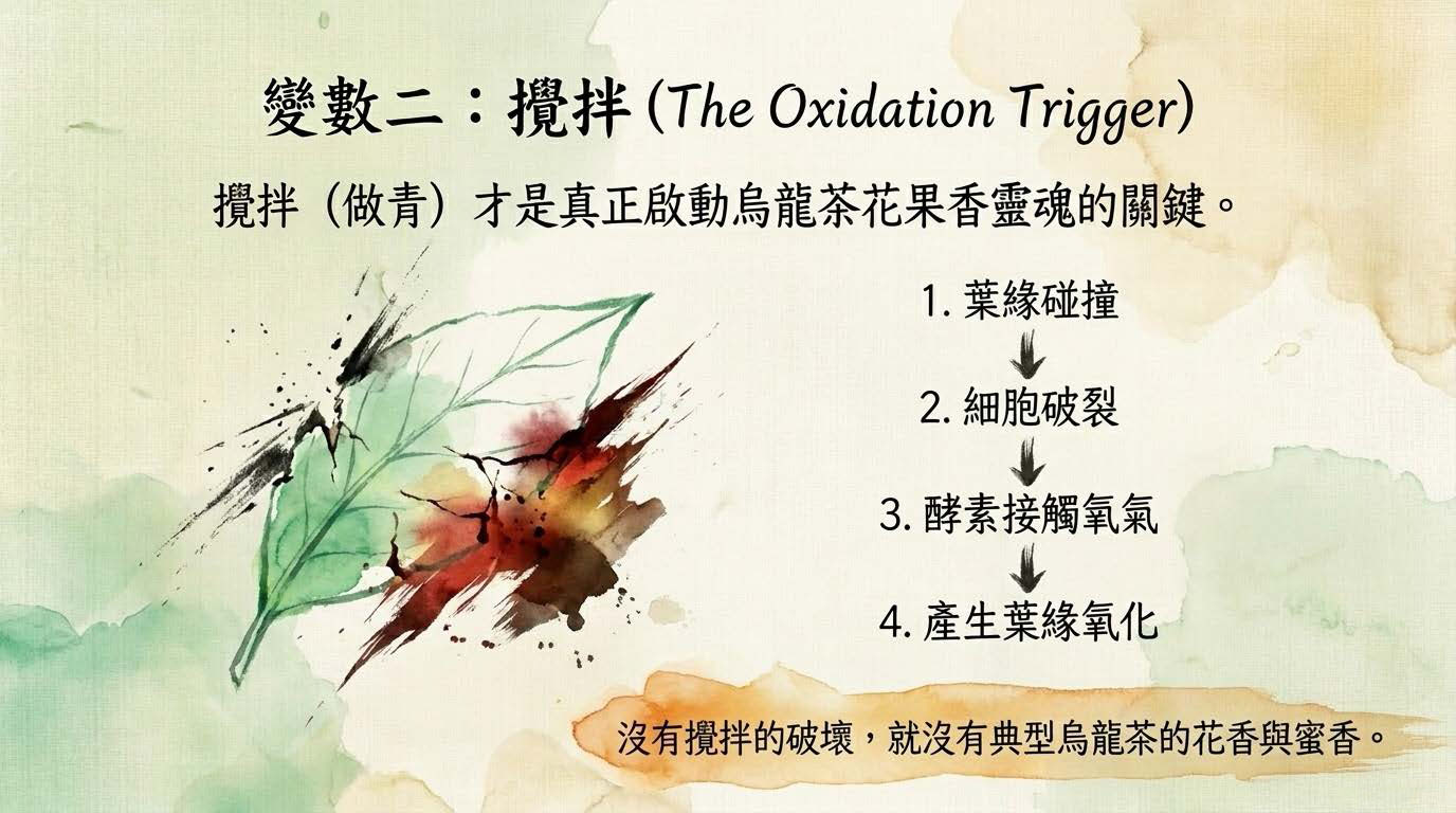 Oolong_Deconstructed_頁面_08
