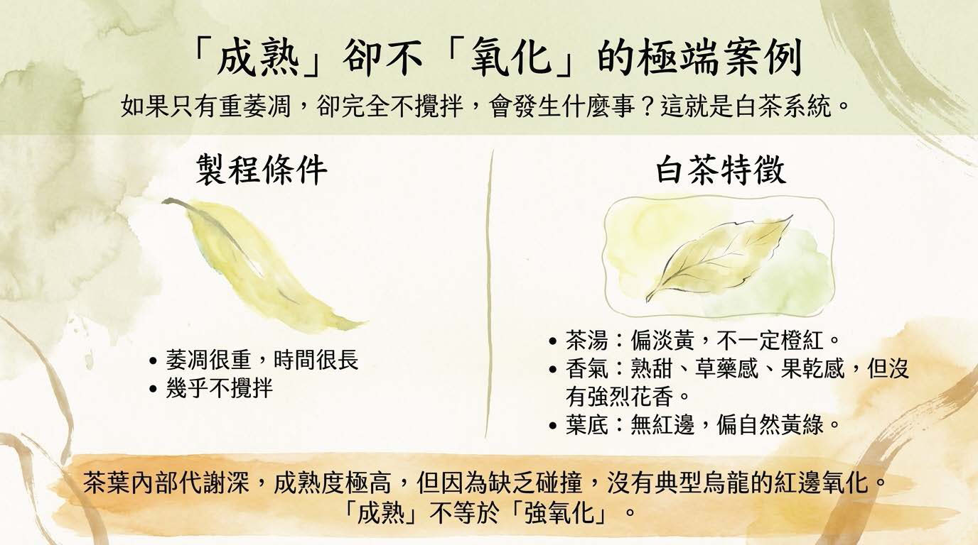 Oolong_Deconstructed_頁面_09