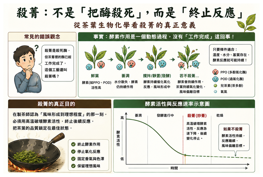殺菁的目的不只是殺死酶，而是終止茶葉品質繼續往下一階段轉化。