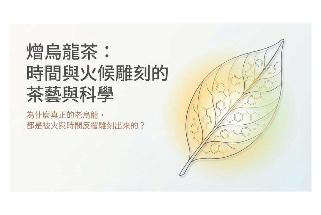 為什麼需要有「熷烏龍」這款茶？