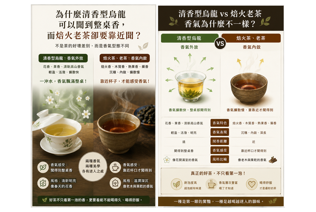 為什麼清香型烏龍香氣滿桌，而焙火老茶卻要靠近聞？