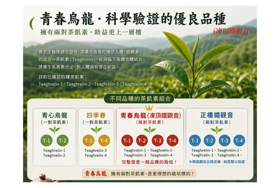 為什麼有些茶天生比較高級？Teaghrelin 告訴你的真相