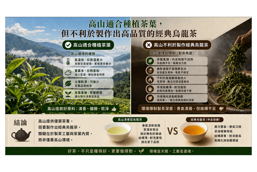高山適合種茶，卻不一定適合製茶