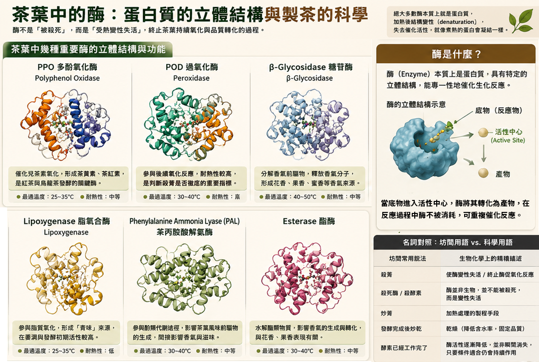 【殺菁】讓酶蛋白因受熱而變性（Denaturation），失去催化活性。