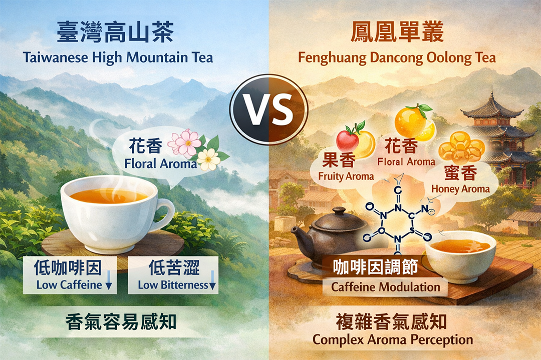 咖啡因，不只是苦味來源，而是茶香的隱形調音師