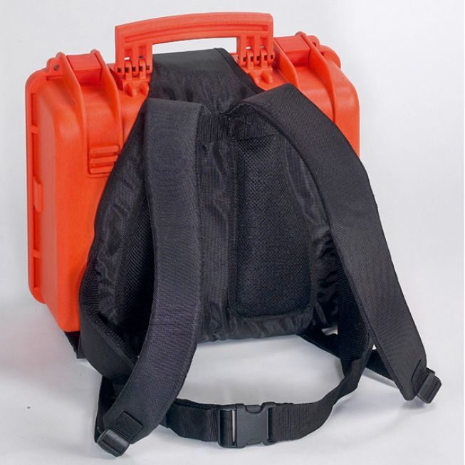 backpackback_1333462455.jpg