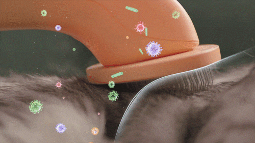 antibacterial liquid