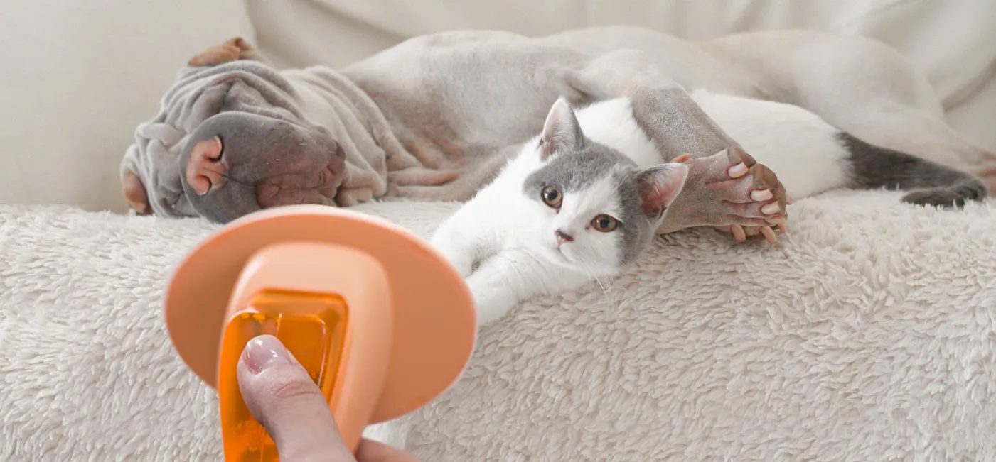 Master Style | 溫柔香氣．細膩呵護。