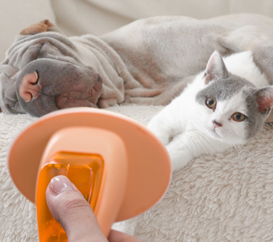 Master Style | 溫柔香氣．細膩呵護。