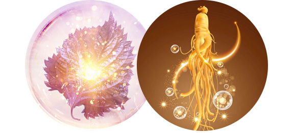 螢幕擷取畫面 2025-11-03 212250