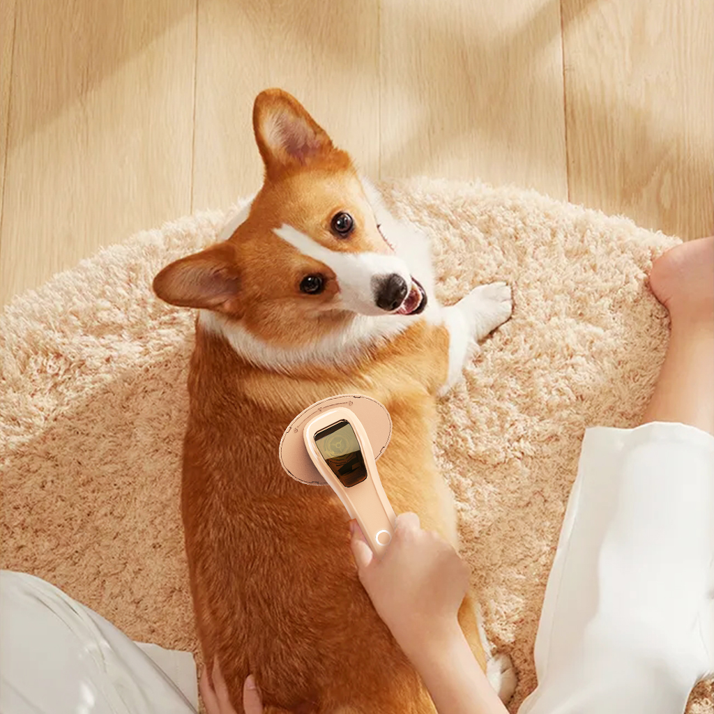 2022.01.21梳子主图1024x1024-11