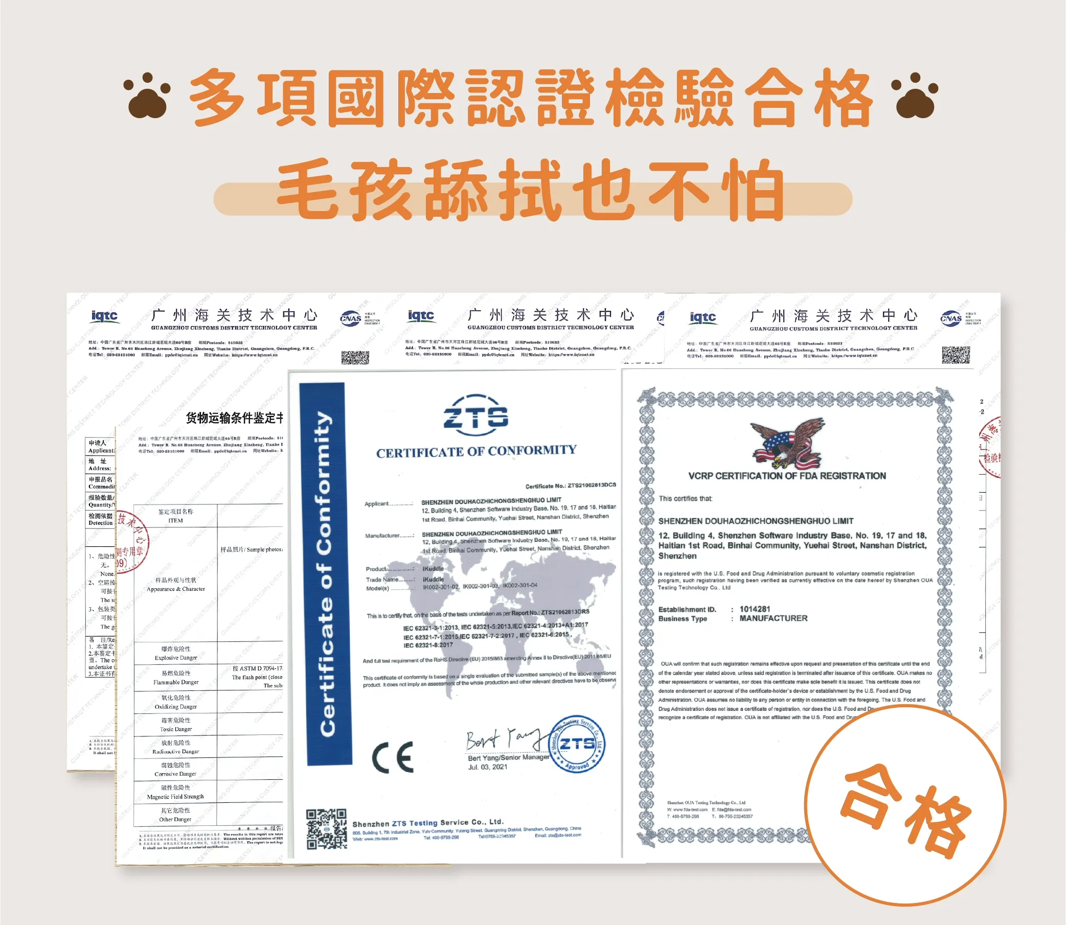 Adobe Express - file