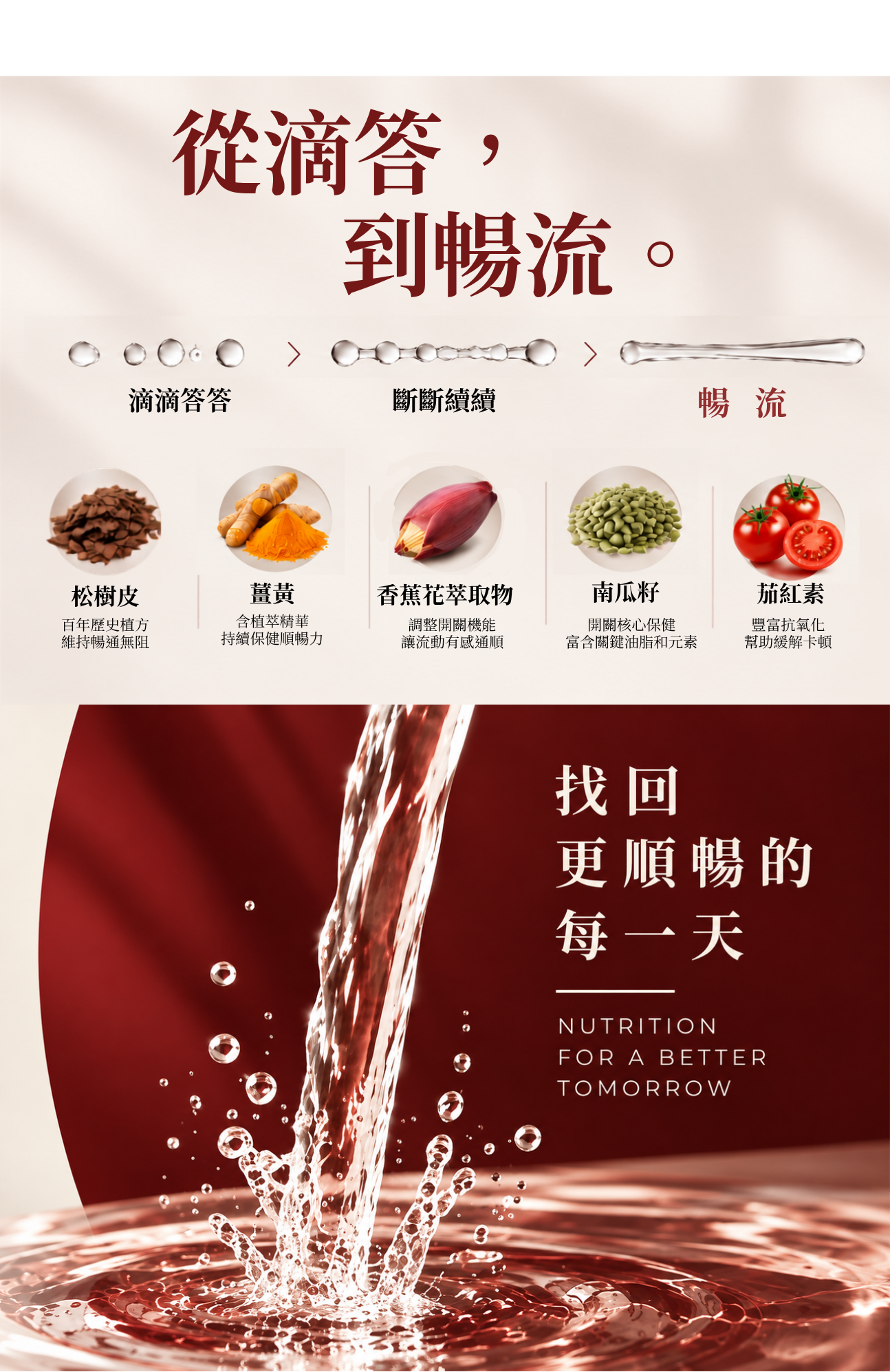 順暢10